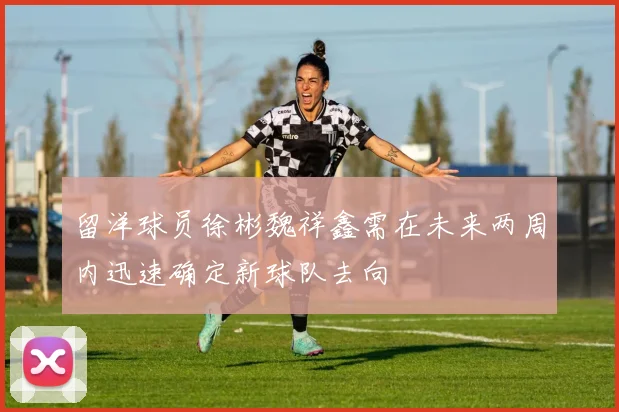 留洋球员徐彬魏祥鑫需在未来两周内迅速确定新球队去向